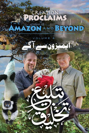 Creation Proclaims, Amazon and Beyond – volume 4, Martin & Breeding